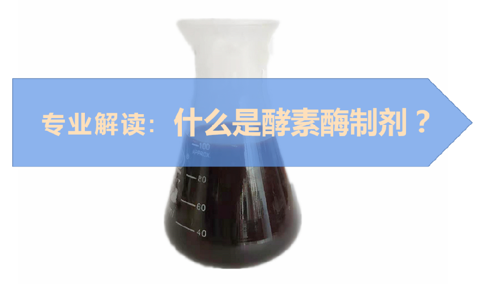 什么是酵素酶制劑？它具體有哪些作用？