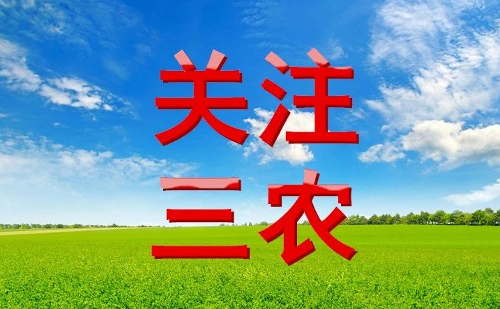 ?【島本酵素】2024年全國(guó)二十屆三中全會(huì)三農(nóng)政策及要點(diǎn)分享